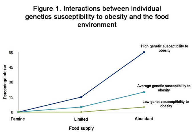 The influence of genetic factors on children's eating behavior