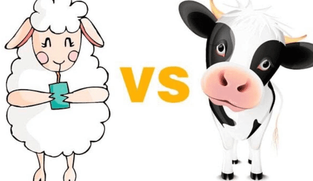 羊奶和牛奶有甚麼區別？